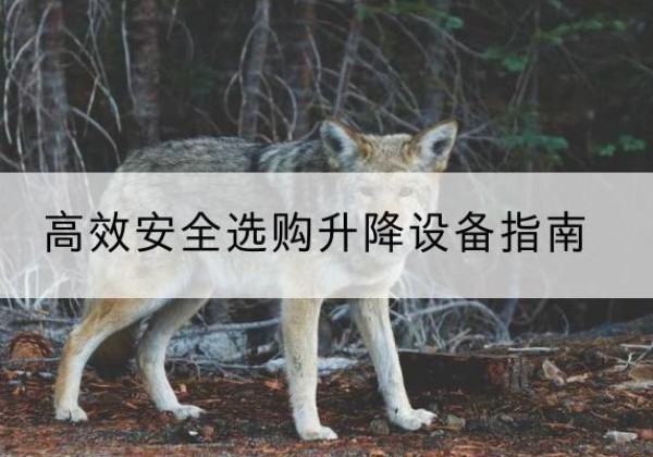 合山升降货梯厂家推荐-*安全选购升降设备指南