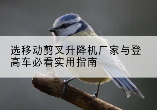 合山电动升降机厂家-选移动剪叉升降机厂家与登高车必看实用指南