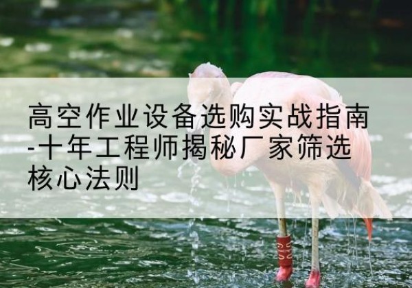 合山剪叉式升降机厂家-高空作业设备选购实战指南-十年工程师揭秘厂家筛选核心法则